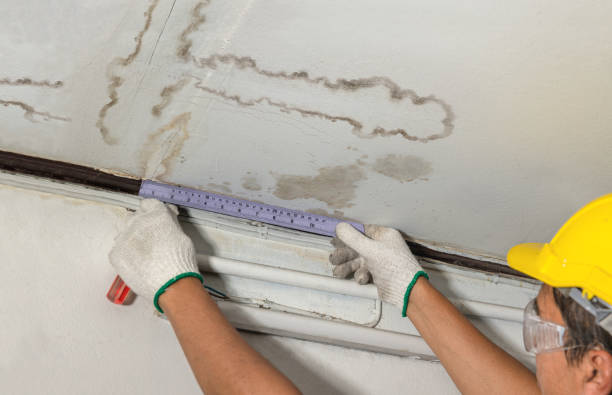Reliable Burst Pipe Cleanup contractor in Blissfield, MI by Water Damage Irwin